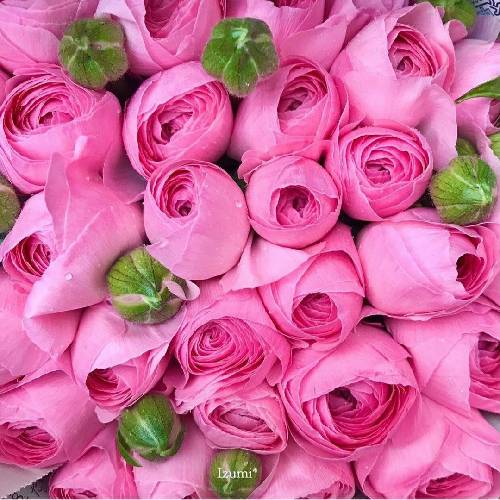 دانیال کلالی خونه خرابه رو سرم گناه قلب من چی بود
